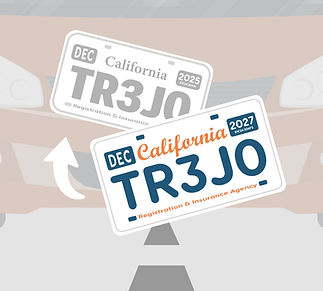 Reemplazo de Placas_Microportadas.jpg