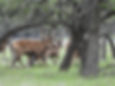 DSCN8114.JPG