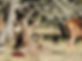 DSCN9345.JPG