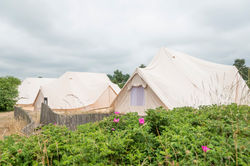 Glampingområdet