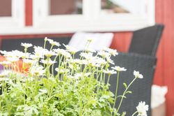 Terrasse på Nordliv