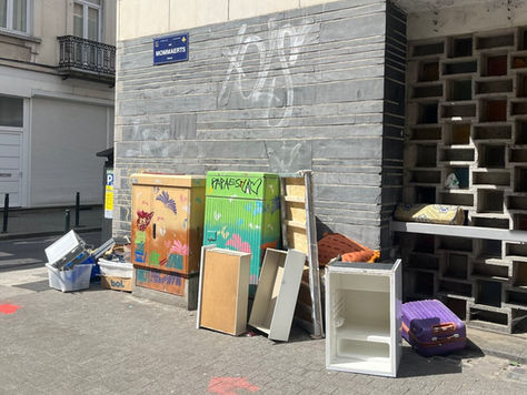 Van opengescheurde vuilzakken tot gedumpte kasten: wie ruimt Brussels straatafval op?