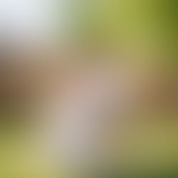 Essential Considerations for Traveling to Canada to Give Birth