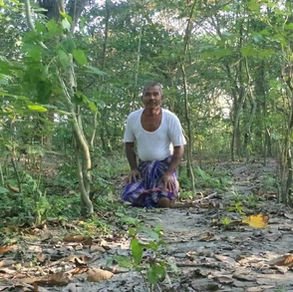 THE GREEN GUARDIAN- JADAV PAYENG & THE MOLAI FOREST.