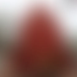 Exploring Umananda Temple: A Hidden Gem in Assam's Spiritual Landscape.