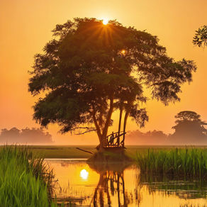 MAJULI- THE SERENE RIVER ISLAND OF ASSAM.