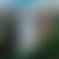 Cherrapunji - Tourist Places & Top Things to Do in 2024