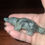 Thumbnail: One of a kind labradorite platypus crystal animal carving