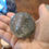 Thumbnail: Garden quartz crystal sphere with flash 