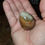 Thumbnail: Polychrome jasper dragon egg 