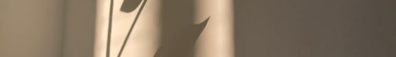 winter monstera light (1).jpeg