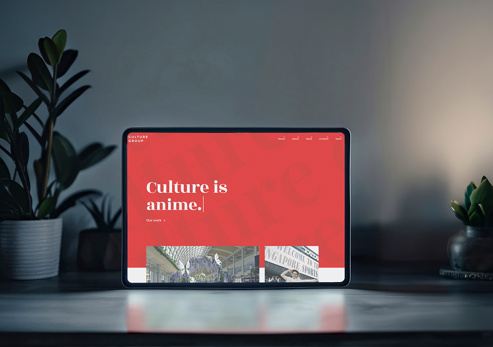 Culture Group • Website