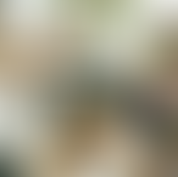 Activision • MWII Launch