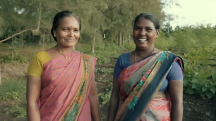 Two Brothers Organic Farms • Times Square + TBCA