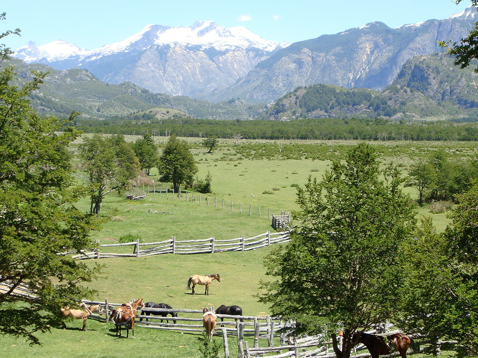Valle California