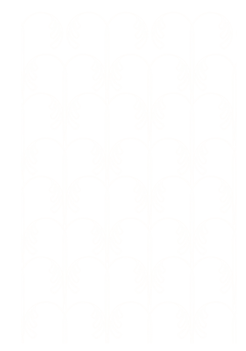 ELEMENTOS WEB S&Y-10.png