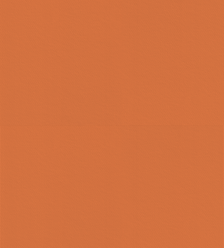 ElementosWebsite-25.png