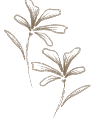 ELEMENTOS WEB EMI-06_edited.png