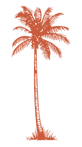 ELEMENTOS WEB-07.png