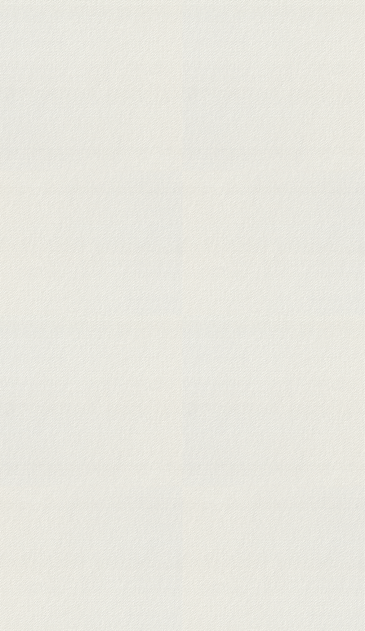 ELEMENTOS WEB S&A-02.png