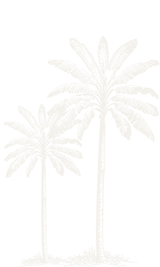 Elementos Graficos-11.png