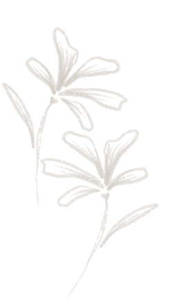 ELEMENTOS WEB EMI-06_edited.png