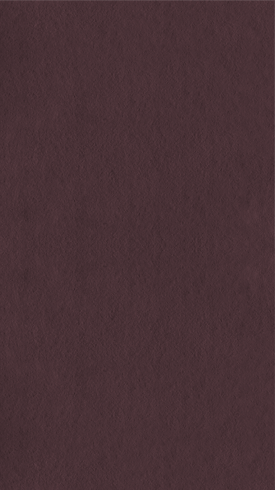 Plantilla_monogramaverde_WILD5.png