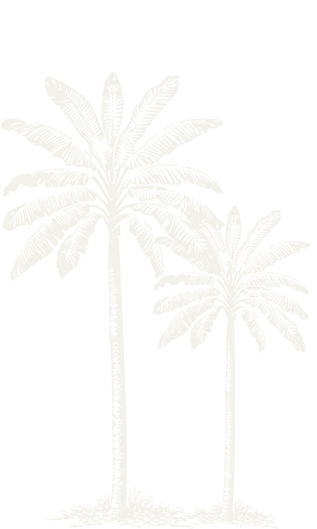 Elementos Graficos-11_edited_edited.png