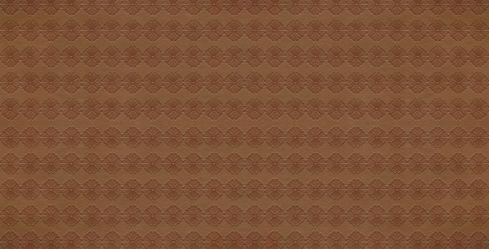 ELEMENTOS WEB_Mesa de trabajo 1.png