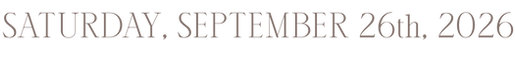 ELEMENTOS WEB M&p-04.png