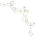 ELEMENTOS WEB-04.png
