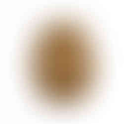 oplaadbare wandlamp Saona wall van New Garden