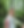 0D029F4D-0322-4F73-9085-B41DF09D3302_edited.png