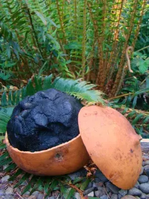 Dica de ouro para equilibrar o Orí. 