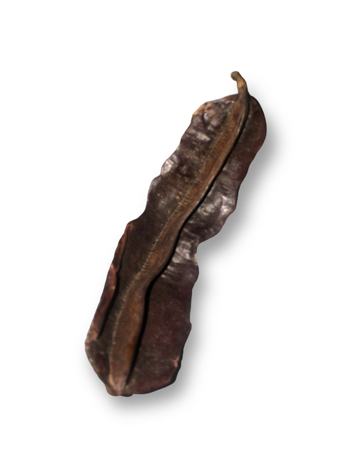 Fava de Aridã (Natural)