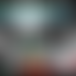 eine Debatte im Bundestag und ein Fabergé Ei davor auf einem roten Samtkissen