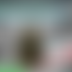 Ein Weihnachtsbaum in der Eingangshalle des Amtes