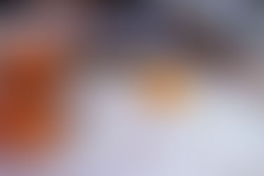 素(平素 元素 簡素 素人)