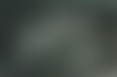 syndicate predicate dedicate abdicate eradicate vindicate indicate