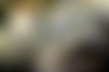 esculent succulent flocculent