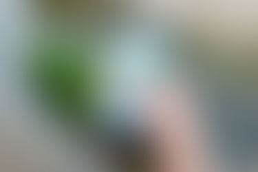 依(依頼 依然 依願)