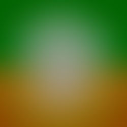 rib tribe tribulation