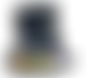 贅(贅沢 贅肉 贅言 生贄)