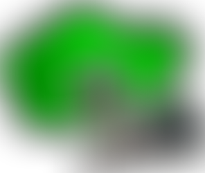 goal foal coal shoal