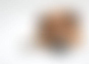 物憂・懶・慵=reluctant