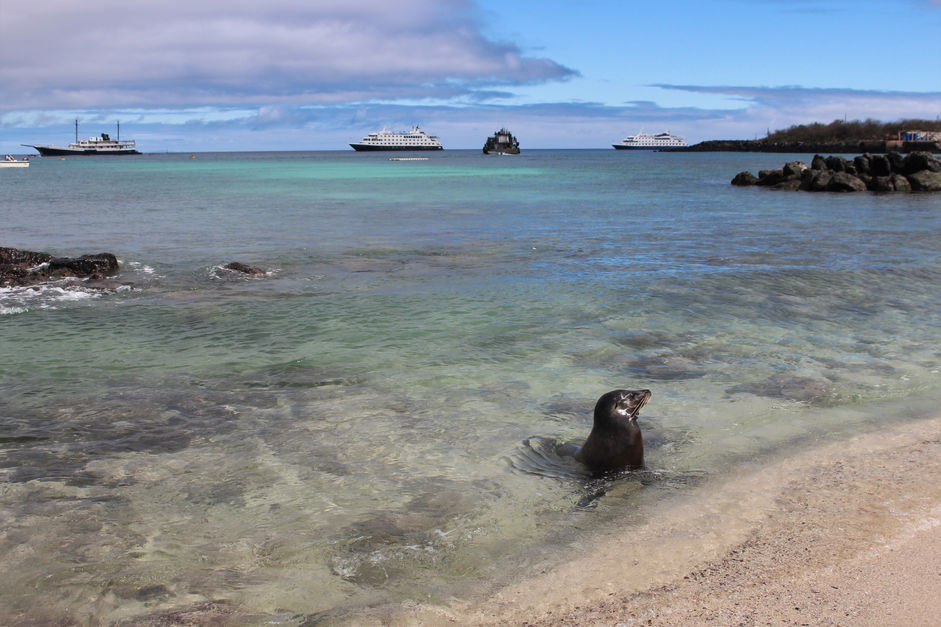 Les îles Galapagos (Equateur)