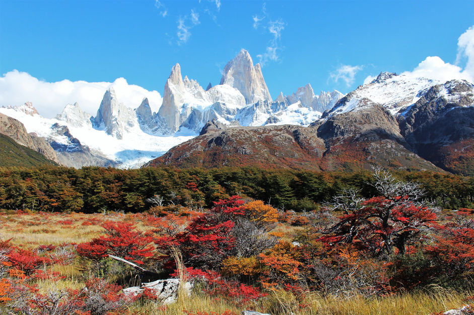 Parque nacional Los Glacieres (Argentine)
