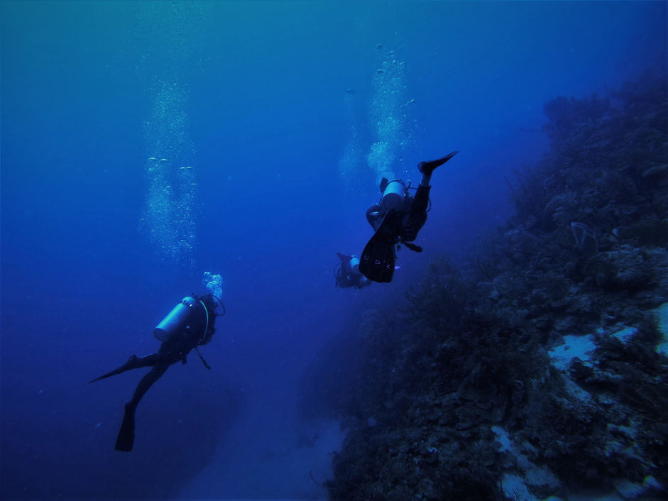 Utilà et la découverte des fonds marins (Honduras)