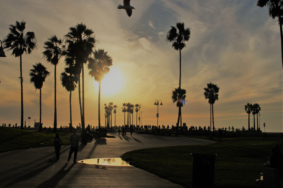3 Jours à Los Angeles (Etats-Unis)