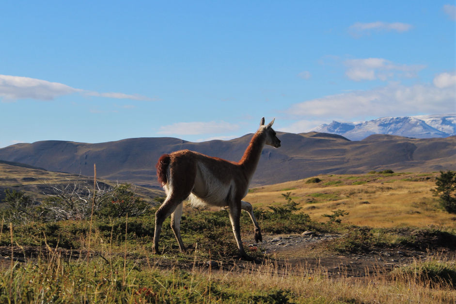 Parque nacional Torres del Paine (Chili)